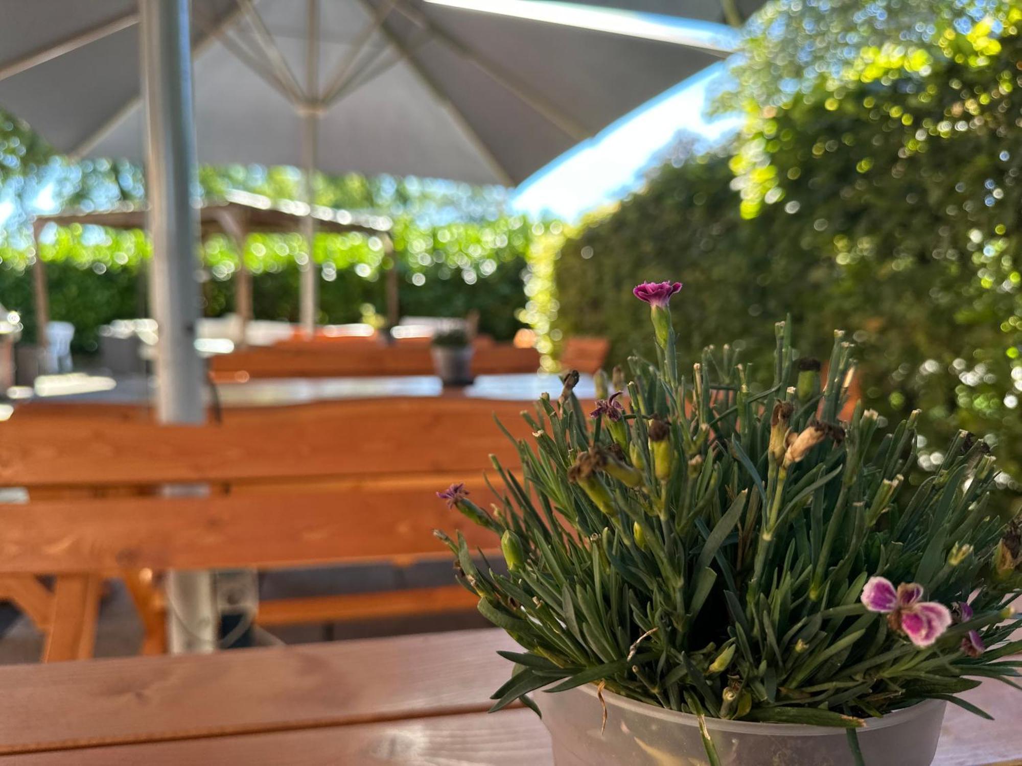Hotel Schultheiss Hameln Hamelin Dış mekan fotoğraf